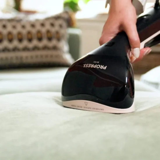 steamer for bed bugs